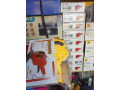 etiquettes-a-prix-small-1