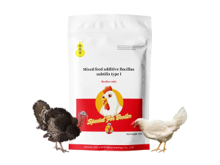 BIO EARN croissance de volailles