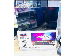 Téléviseur BOREAL écran 43 Smart