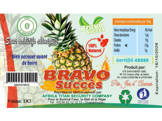 Africa Titan Sécurité Company