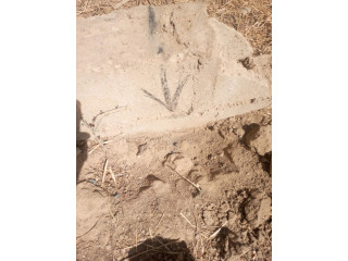 Terrain non Loti en vente a Taabtenga