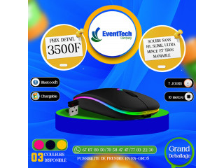 Souris Sans Fil rechargeable