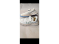 saussures-small-2