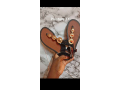saussures-small-0