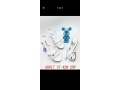 saussures-small-1