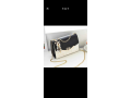 saussures-small-3