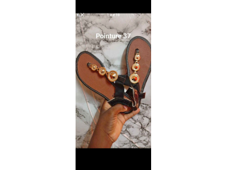 Saussures