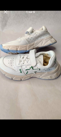 saussures-big-2
