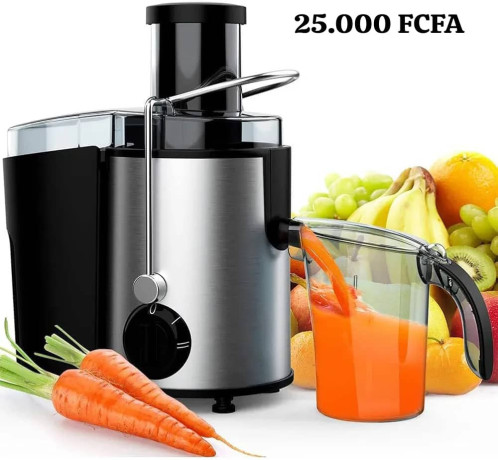 extracteur-de-jus-big-0