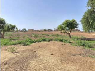 UNE PARCELLE DE TYPE PAN COUPE DE 1000 M² EN VENTE A OUAGA2000 SABTOANA SUR PERFECTOR IMMOBILIER