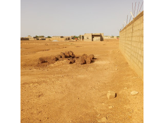PERFECTOR IMMOBILIER MET EN VENTE CETTE PARCELLE D'UNE SUPERFICIE DE 298 M² A OUAGA 2000 EXTENSION.