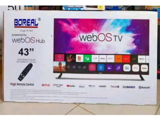 Tele smart boréal écran 43"