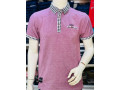 chic-polo-small-4