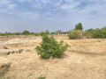 terrain-de-2-hectares-a-vendre-a-gampela-perfector-immobilier-small-1