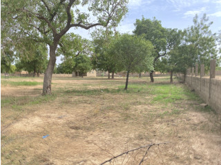 TERRAIN DE 2 HECTARES à VENDRE A GAMPELA  PERFECTOR IMMOBILIER