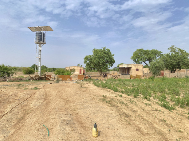 terrain-de-2-hectares-a-vendre-a-gampela-perfector-immobilier-big-2