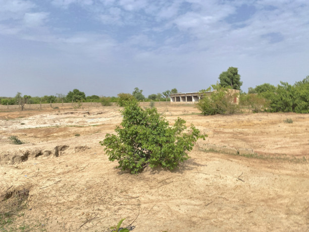 terrain-de-2-hectares-a-vendre-a-gampela-perfector-immobilier-big-1