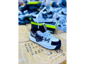 les-wolfes-amiri-de-qualite-small-3