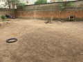 parcelle-batie-de-type-f3-a-vendre-a-dassasgho-320-m2-small-2
