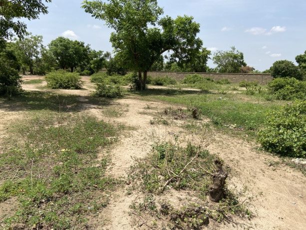 deux-parcelles-jumelees-dune-superficie-de-560-m2-sont-en-vente-sur-perfector-immobilier-a-ouaga-2000-saabtoana-big-1