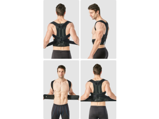 Ceinture dorsale