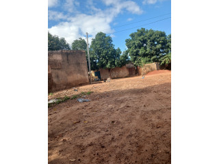 Cours CÉLIBATERIUM a vente Dogona