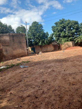 cours-celibaterium-a-vente-dogona-big-0