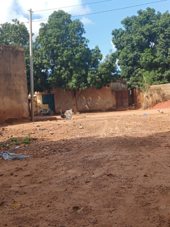 cours-celibaterium-a-vente-dogona-big-1