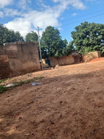 cours-celibaterium-a-vente-dogona-big-4