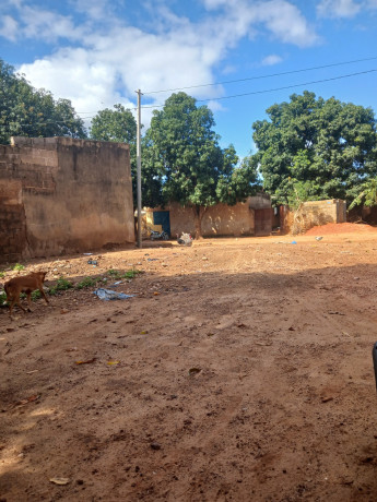 cours-celibaterium-a-vente-dogona-big-3