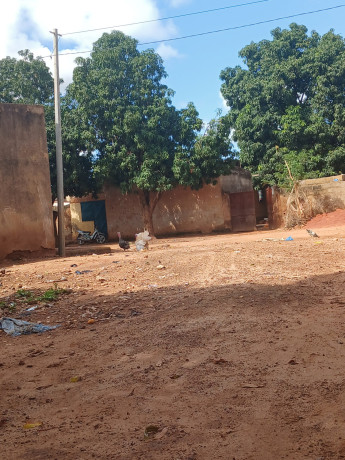 cours-celibaterium-a-vente-dogona-big-2