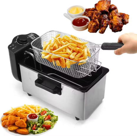 friteuse-electrique-professionnel-original-tres-efficace-big-0