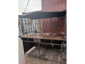 tables-de-vente-small-1