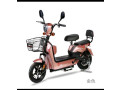 velomoteurs-electriques-small-4
