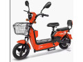 velomoteurs-electriques-small-3