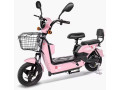 velomoteurs-electriques-small-2