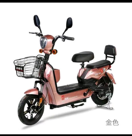 velomoteurs-electriques-big-4