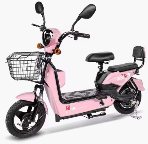 velomoteurs-electriques-big-2