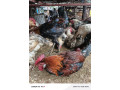 vente-en-gros-et-detail-small-0