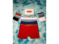 boxer-small-2