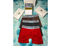 boxer-small-1
