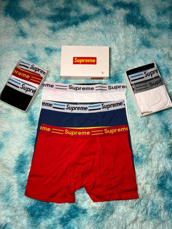 boxer-big-2