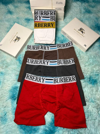 boxer-big-1