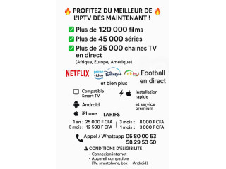 INTERNET PROTOCOL TELEVISION ( IPTV )