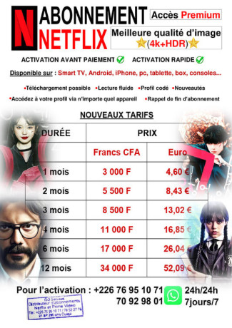 abonnement-netflix-big-0