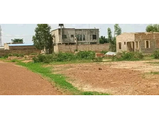 Une parcelle en vente dans la cité yenega à Kouba à 17 500 000f CFA