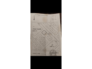 Parcelle en vente ziniare