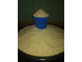 du-bon-gari-small-2