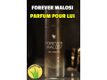 aloe-malosi-la-puissance-et-lelegance-au-masculin-small-3