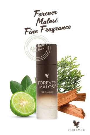 aloe-malosi-la-puissance-et-lelegance-au-masculin-big-2